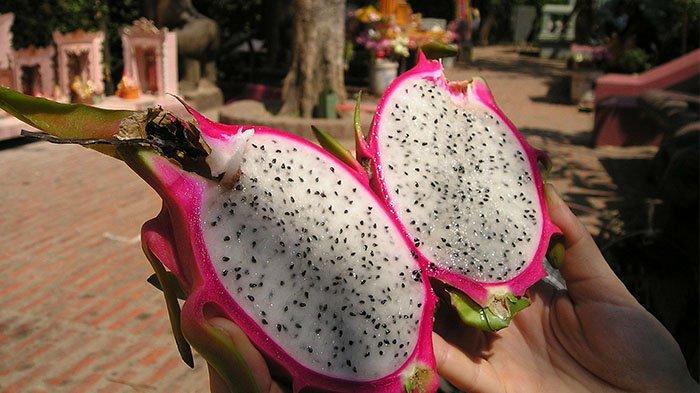 Buah naga, buah jenis kaktus
