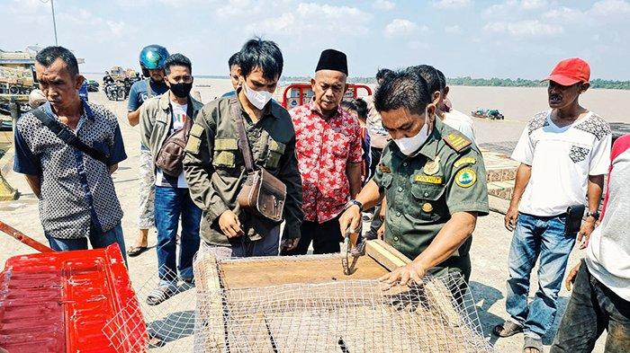 Proses evakuasi anak beruang madu diserahkan kepada pihak BKSDA Riau di Pelabuhan Lasdap Tembilahan, Kamis (29/7/2021).