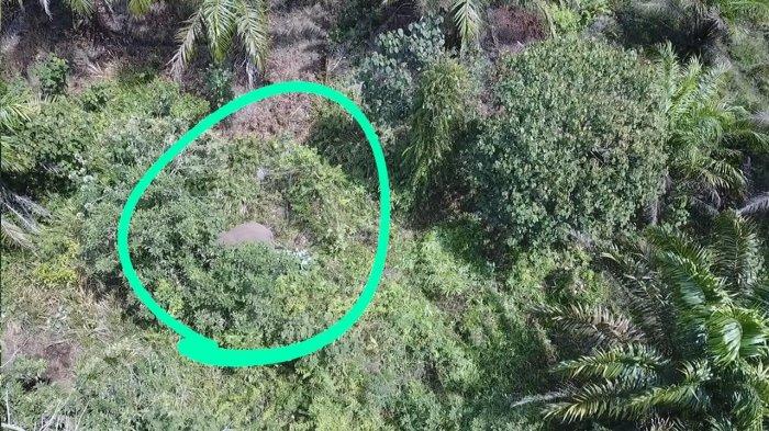 Balai Konservasi Sumber Daya Alam (BKSDA) Riau telah menerima laporan konflik gajah liar yang terjadi di Desa Kemang, Kecamatan Pangkalan Kuras, Kabupaten Pelalawan, Riau Rabu (27/7/2022) lalu.