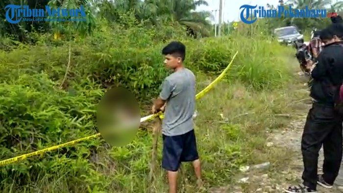 HEBOH Mayat Wanita Tanpa Kepala dan Kaki Ditemukan di Tepi Jalan di Riau, Diduga Korban Mutilasi