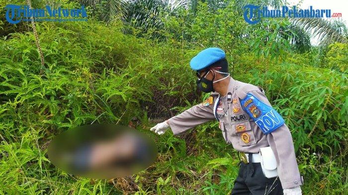 HEBOH Mayat Wanita Tanpa Kepala dan Kaki Ditemukan di Tepi Jalan di Riau, Diduga Korban Mutilasi