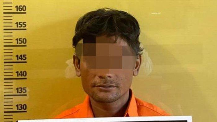Pelaku berinisial DS alias DD (40) ditangkap karena mencabuli anak tirinya.