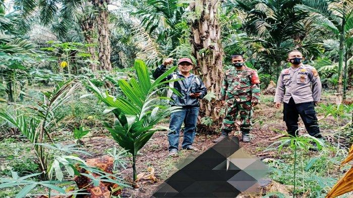 Lokasi penemuan jasad seorang perempuan paruh baya di Dusun 2 Desa Bayas Jaya, Kecamatan Kempas, Kabupaten Indragiri Hilir (Inhil), Riau, Sabtu (27/3).