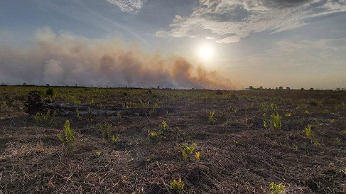 Karhutla di Desa Tanjung Leban, Kecamatan Bandar Laksamana, kabupaten Bengkalis, Riau.