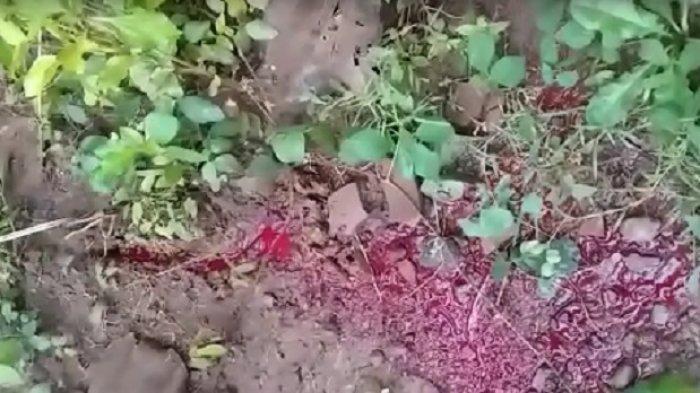Kejadian ini menyita perhatian warga berupa tanah mengeluarkan cairan merah mirip darah segar di tanah milik Waluyo, di Dukuh Sentul RT 3 RW 5, Desa Pundungrejo, Kecamatan Tawangsari, Kabupaten Sukoharjo, Rabu (3/3/2021).