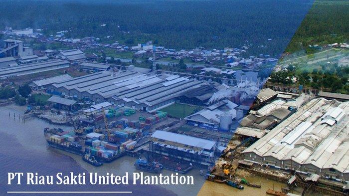 Lowongan Kerja di Riau, Dibutuhkan Staf Keuangan di PT Riau Sakti United Plantation - Tribunpekanbaru.com