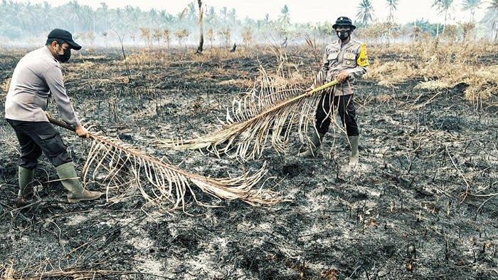 Petugas melakukan pendinginan di lahan gambut yang terbakar.