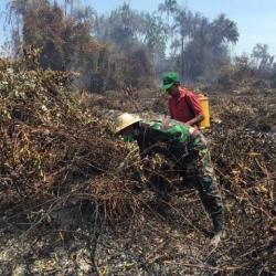 Sejak Januari, 300 Hektar Lebih Lahan di Dumai Sudah Terbakar