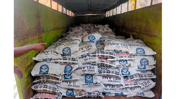 PT. GRSA (Graha Riau Sarana Agritek) merupakan distributor resmi yang ditunjuk PT. Pupuk Kaltim melalui Apkasindo untuk mendistribusikan pupuk NPK Pelangi di Riau dan Sumatera Utara sejak tahun 2018. Hingga kini, volume penjualan pupuk ini terus meningkat karena bahan baku yang digunakan berkualitas sehingga meningkatkan produktivitas para petani.