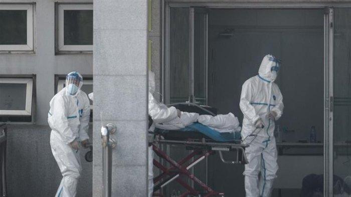 Fakta mengerikan Virus Corona