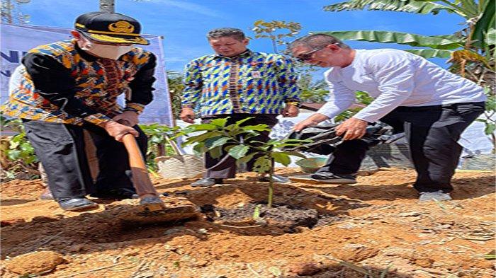 PT Pelabuhan Indonesia (Persero) Regional 2 Pontianak melaksanakan penanaman 1.000 bibit pohon buah di Desa Sungai Kunyit Laut Kabupaten Mempawah, Kamis 22 September 2022.