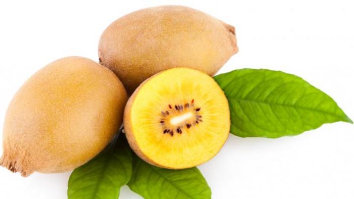 Ilustrasi kiwi.
