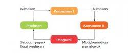 tribunnews