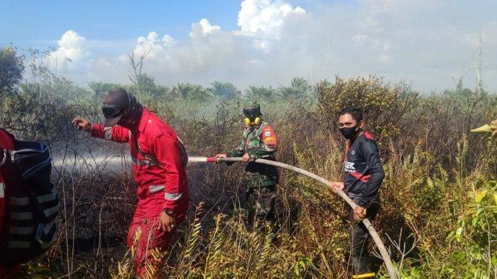 PRCPB Koramil Matan Hilir Utara bersama Tim Gabungan Saat Berusaha Memadamkan Api di lahan Gambut, Desa Tempurukan, Kecamatan Muara Pawan.