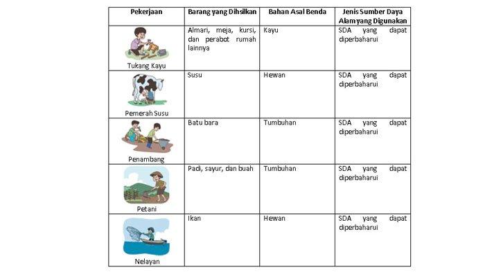 Tabel jenis sumber daya yang dimanfaatkan.