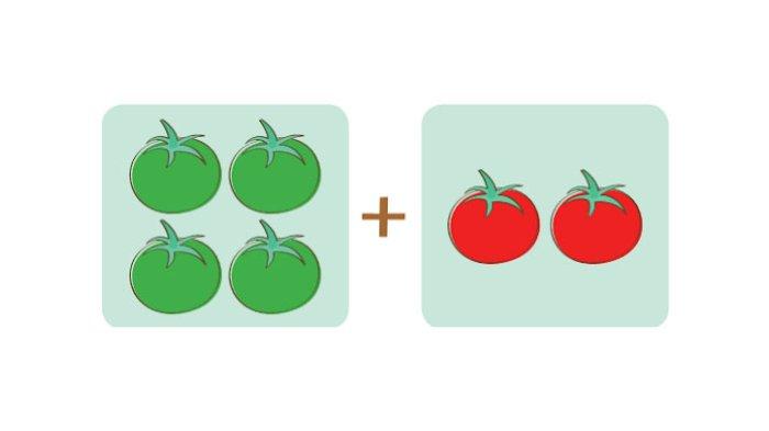 urutan buah