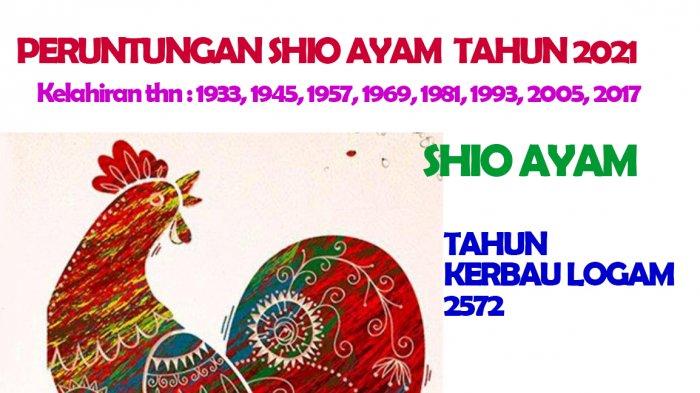 Shio Ayam dimiliki oleh mereka yang lahir Tahun : Tahun Lahir: 1933, 1945, 1957, 1969, 1981, 1993, 2005, 2017