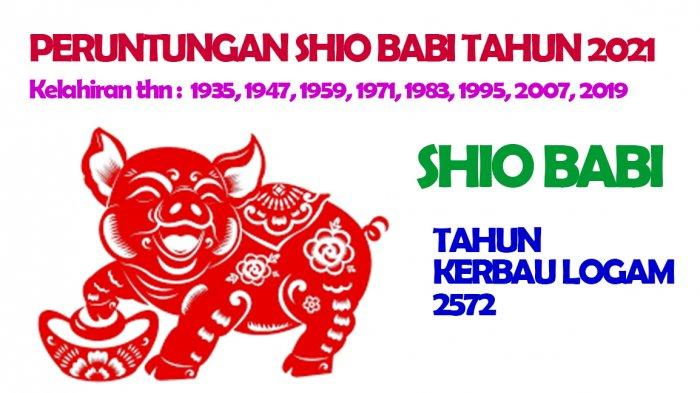 Shio Babi dimiliki oleh mereka yang lahir Tahun : 1935, 1947, 1959, 1971, 1983, 1995, 2007, 2019