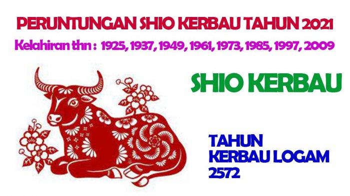 Shio Kerbau dimiliki oleh mereka yang lahir Tahun : 1925, 1937, 1949, 1961, 1973, 1985, 1997, 2009