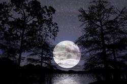 Keistimewaan Malam Lailatul Qadar