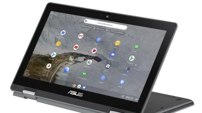 ASUS Chromebook Flip