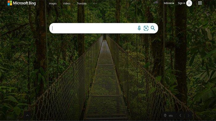 Bing memiliki foto latar belakang harian yang memperlihatkan tampilan yang lebih visual dan indah. Menariknya, ia juga dibekali fitur My Saves untuk mengarsipkan halaman penting.