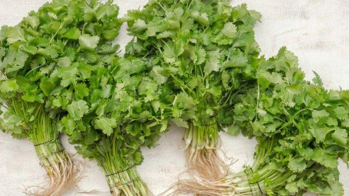 Daun ketumbar memiliki manfaat untuk mengatasi mata bintitan yang mengganggu penampilanmu.
