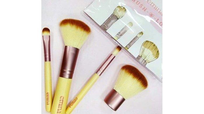emina Brush Set