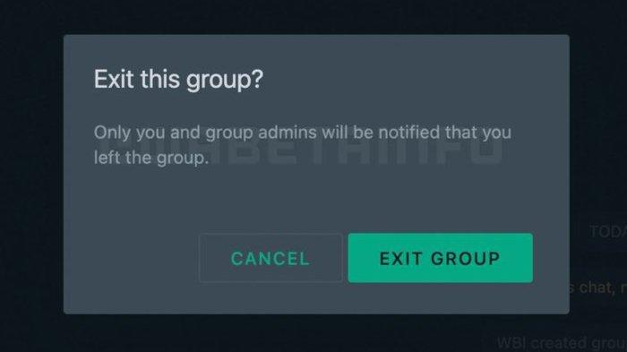 Ilustrasi opsi keluar grup WhatsApp