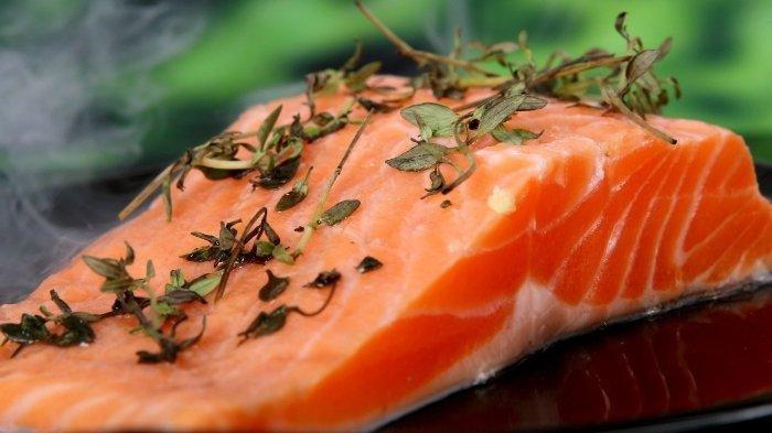 Ilustrasi ikan salmon