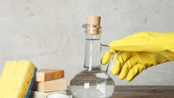 Ilustrasi cuka putih yang bisa kamu gunakan untuk berbagai kebersihan rumah tangga termasuk bersihkan kerak membandel pada kloset