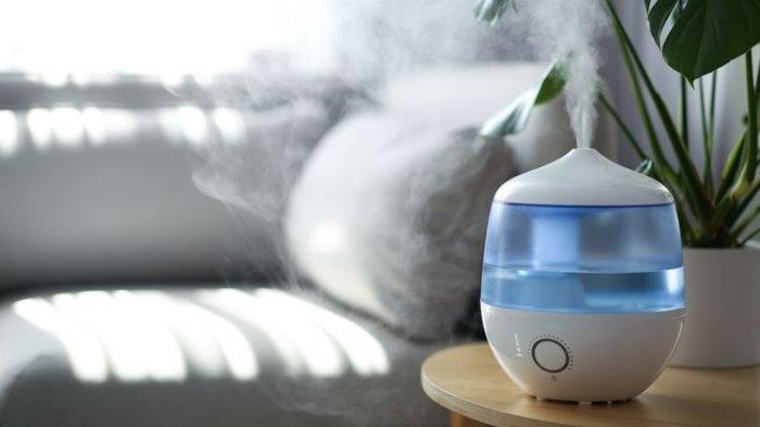 Ilustrasi penggunaan humidifier di ruangan untuk melembapkan udara sekaligus bikin suasana lebih nyaman