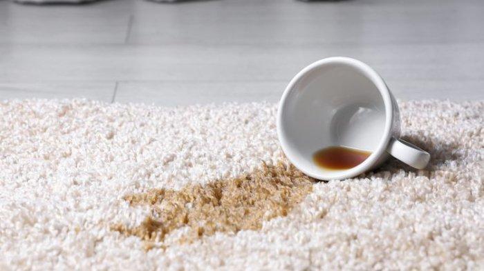 Ilustrasi karpet yang terkena noda minuman kopi, bisa kamu bersihkan dengan mudah menggunakan kentang