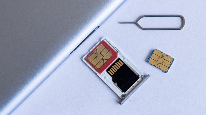 Ilustrasi kartu microSD dan SIM