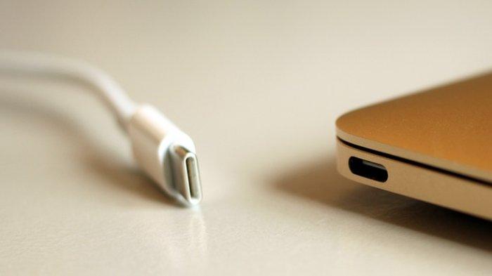 Ilustrasi USB Type C