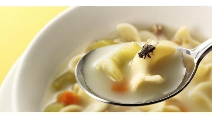 Penggunaan cuka apel yang dicampur sabun cuci piring bisa bantu basmi lalat di dapur
