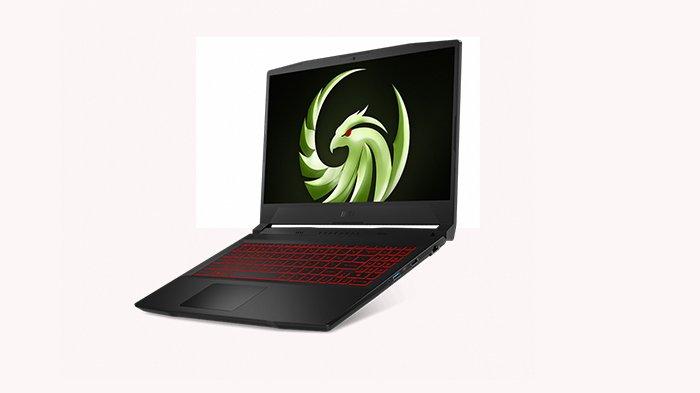 MSI Bravo 15 (B5DD)