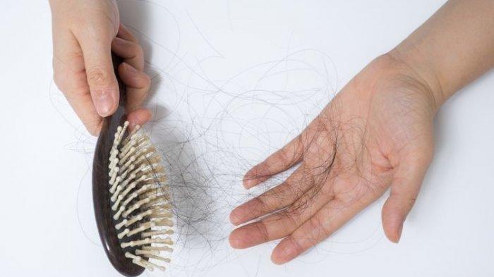 Ilustrasi sisir yang dipenuhi rambut rontok