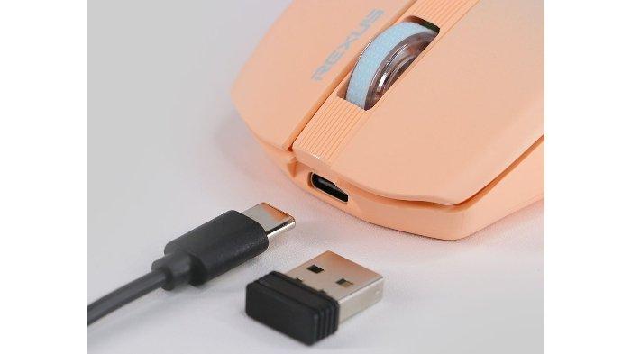 Konektivitas dan antarmuka REXUS QB200