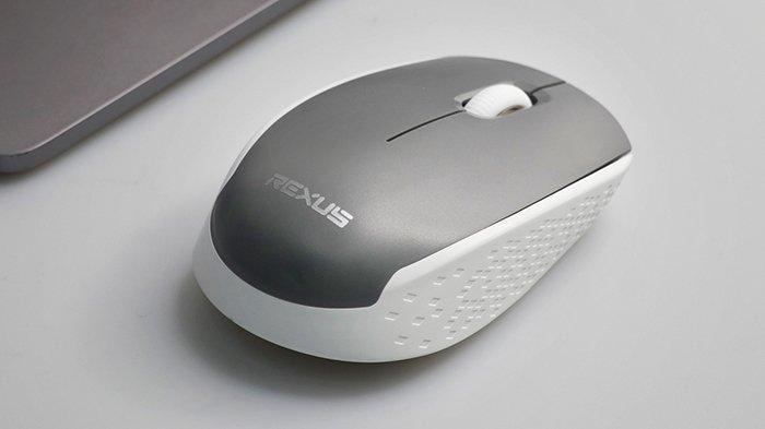 REXUS Wireless Mouse Q30