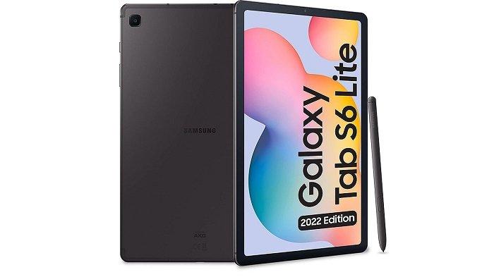 SAMSUNG Galaxy Tab S6 Lite 2022 - Oxford Gray