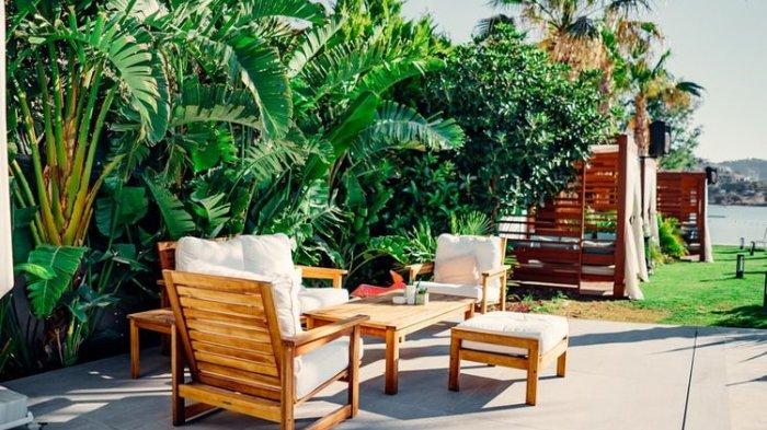 Sinar matahari yang cukup bisa membantu atasi rayap dan membuat furnitur kayu tetap kering