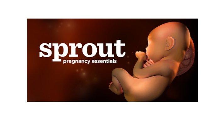 Sprout Pregnancy