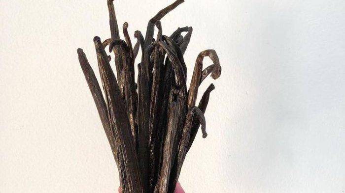 Ekstrak vanila bisa menjadi salah satu bahan alami untuk menghilangkan aroma tak sedap pada blender secara lebih mudah