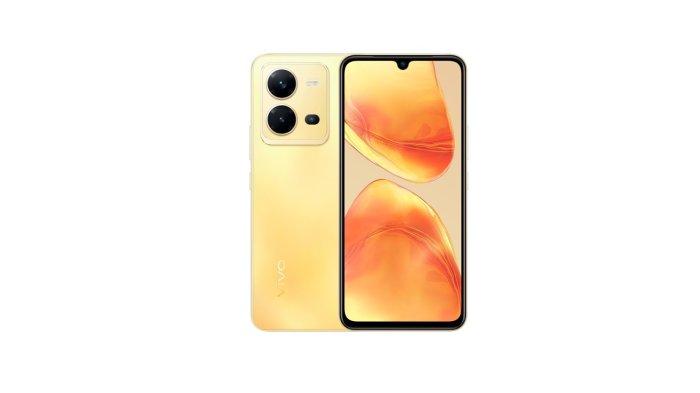 vivo V25e