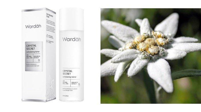 Wardah Crystal Secret Exfoliating Toner with Natural AHA+PHA