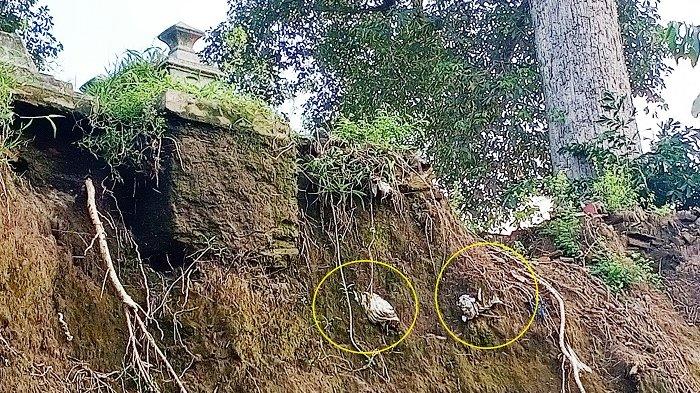 Jenazah di dalam kafan yang nampak mau terjatuh karena longsor di tepi Kali Pepe di TPU Dusun Bendungan, Desa Klodran, Kecamatan Klodran, Kabupaten Karanganyar, Senin (22/2/2021).