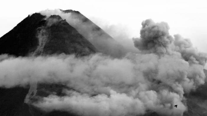 Gunung Merapi mengalami erupsi besar pada Rabu (27/1/2021). Mengeluarkan guguran dan letusan awan panas.