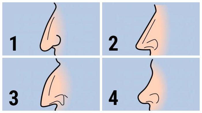 Tes kepribadian bentuk hidung