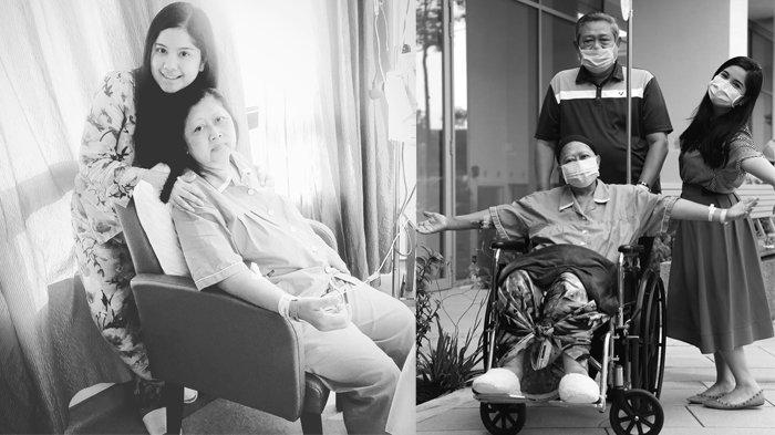Annisa Pohan dan SBY setia temani Ani Yudhoyono berjuang melawan kanker darah